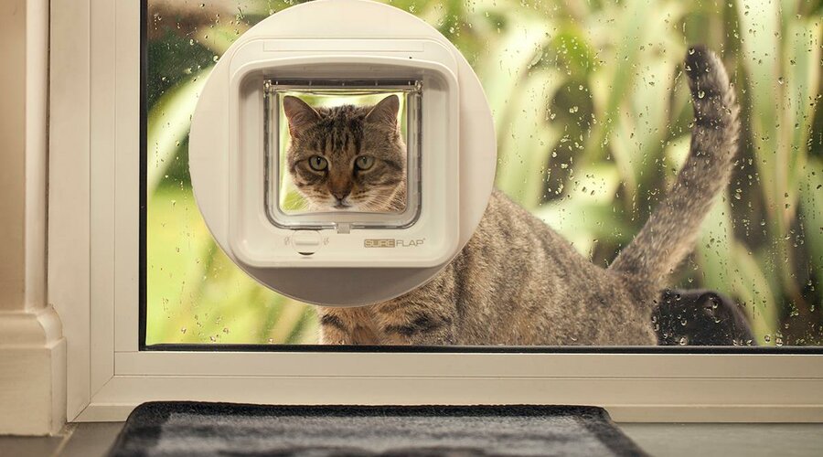 Pet Doors